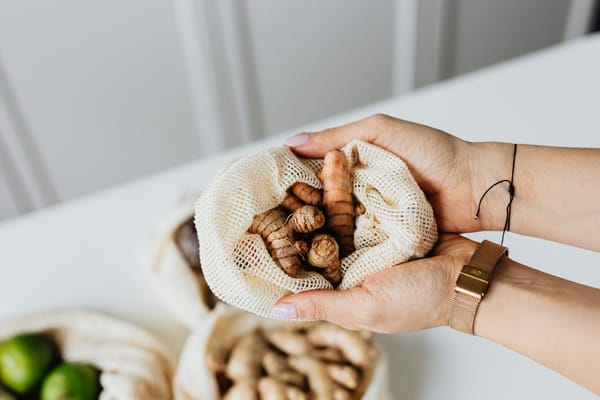 Root of the turmeric plant being held in hands